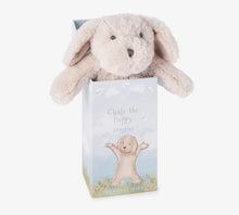 Load image into Gallery viewer, Boxed Snuggler