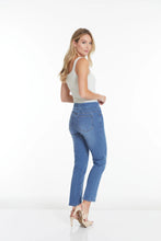 Load image into Gallery viewer, In Pursuit Pant