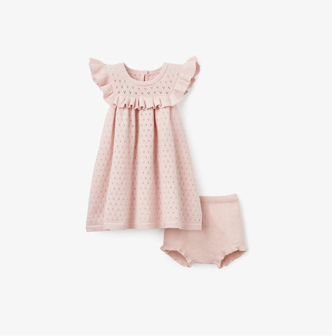 Blush Pointelle Flutter Sleeve Knit Baby Dress