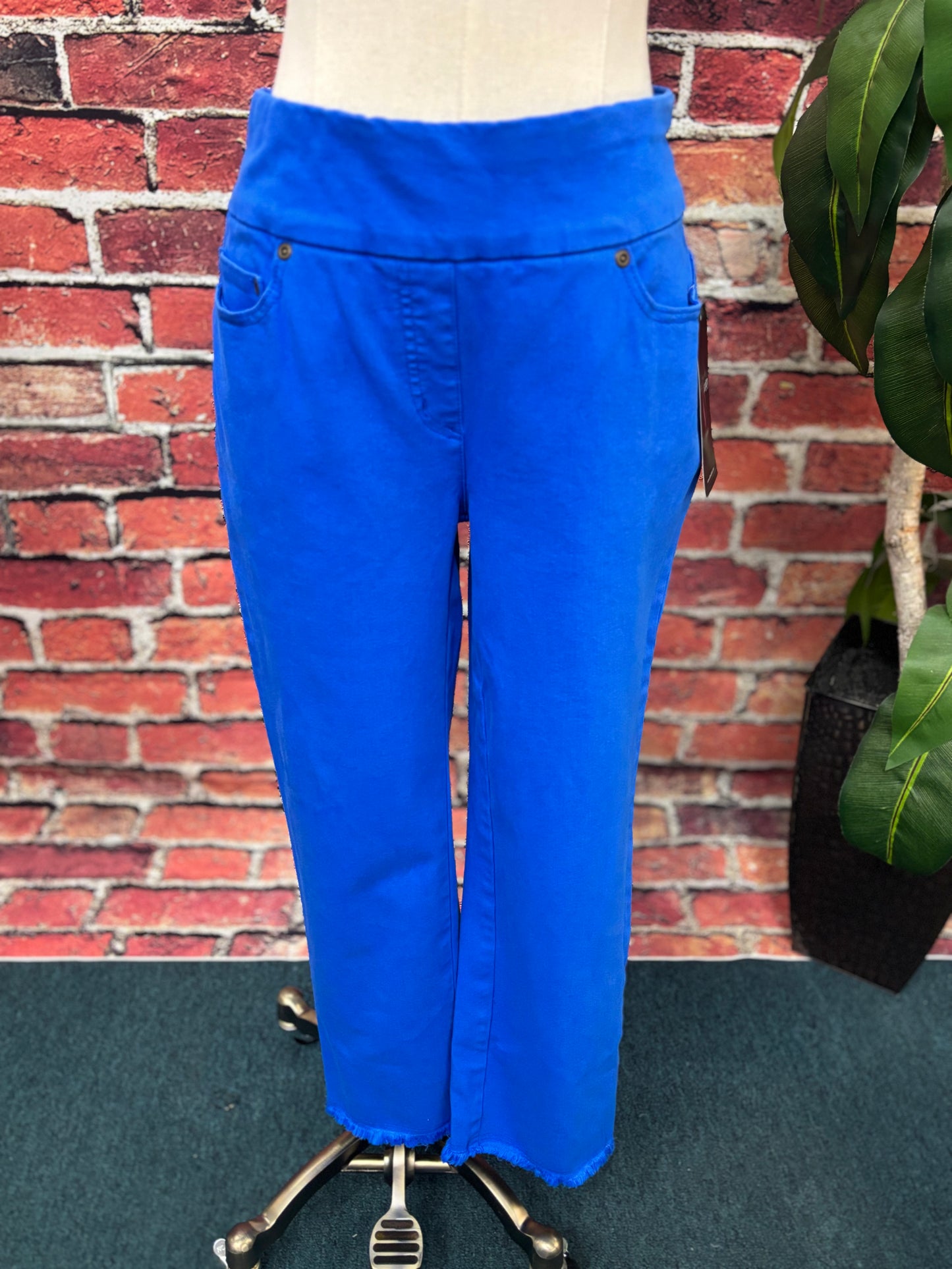 Pull On 5 Pocket Crop Pant