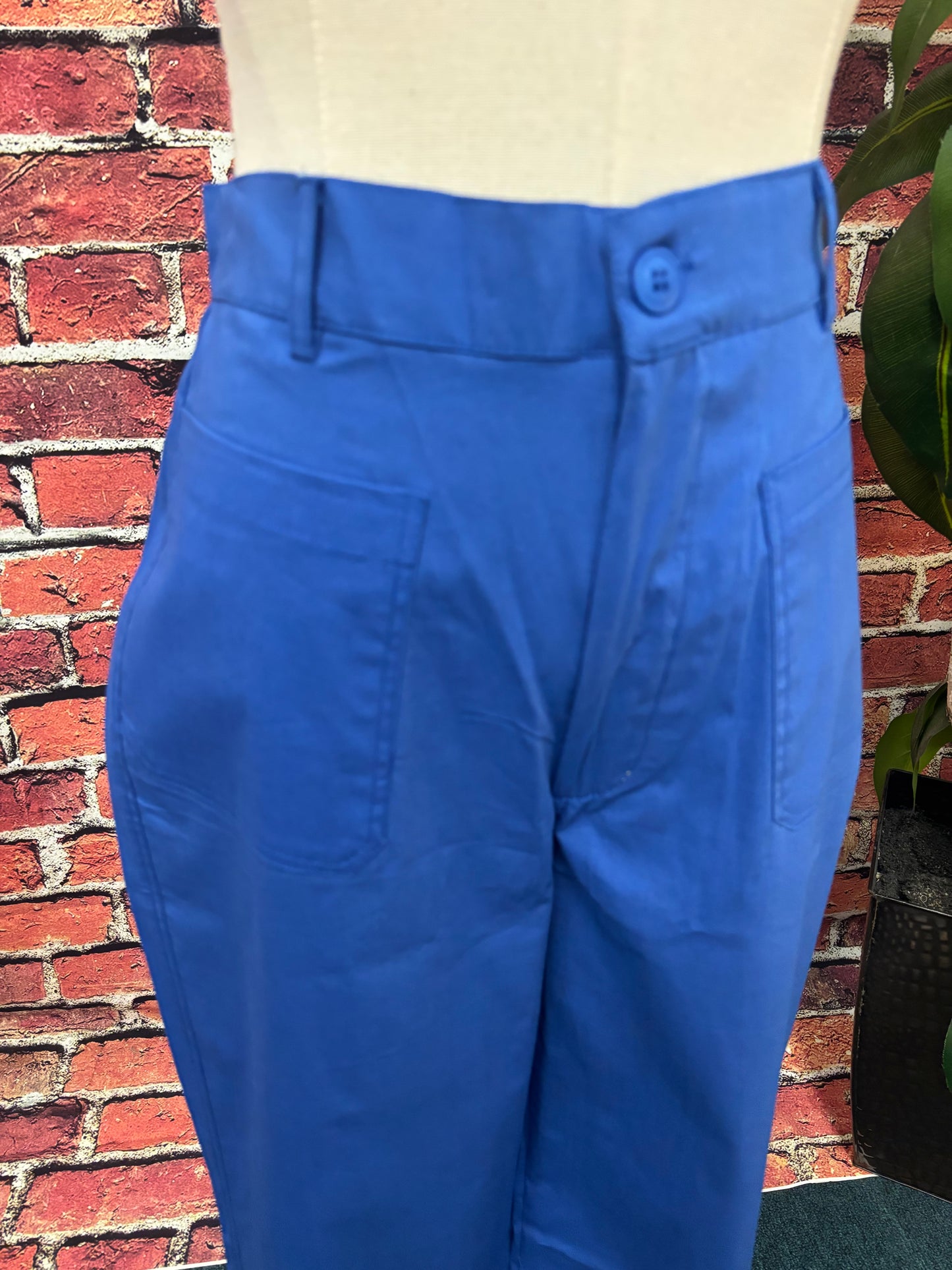 Ivy Ankle Pants