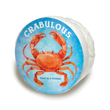 Load image into Gallery viewer, Coastal Sponge Collection