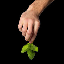 Load image into Gallery viewer, Poo Pourri Collection