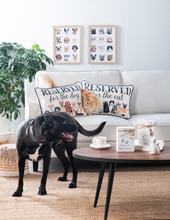 Load image into Gallery viewer, Reserved For Pillow