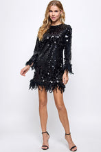Load image into Gallery viewer, Sequin And Feather Detail Dress
