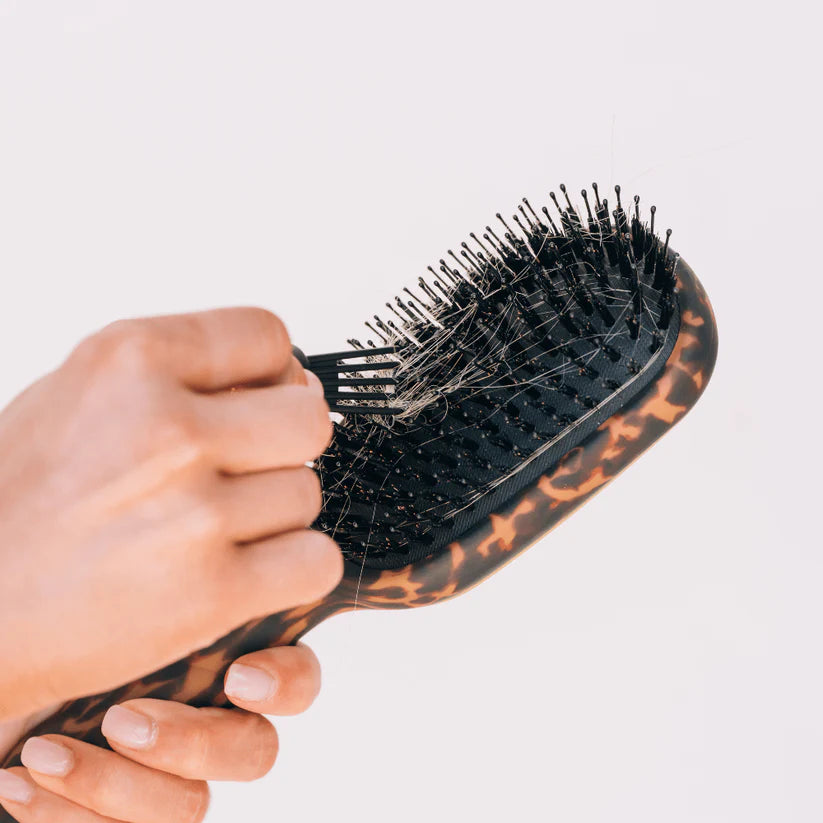 Boar Brush