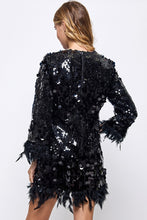 Load image into Gallery viewer, Sequin And Feather Detail Dress
