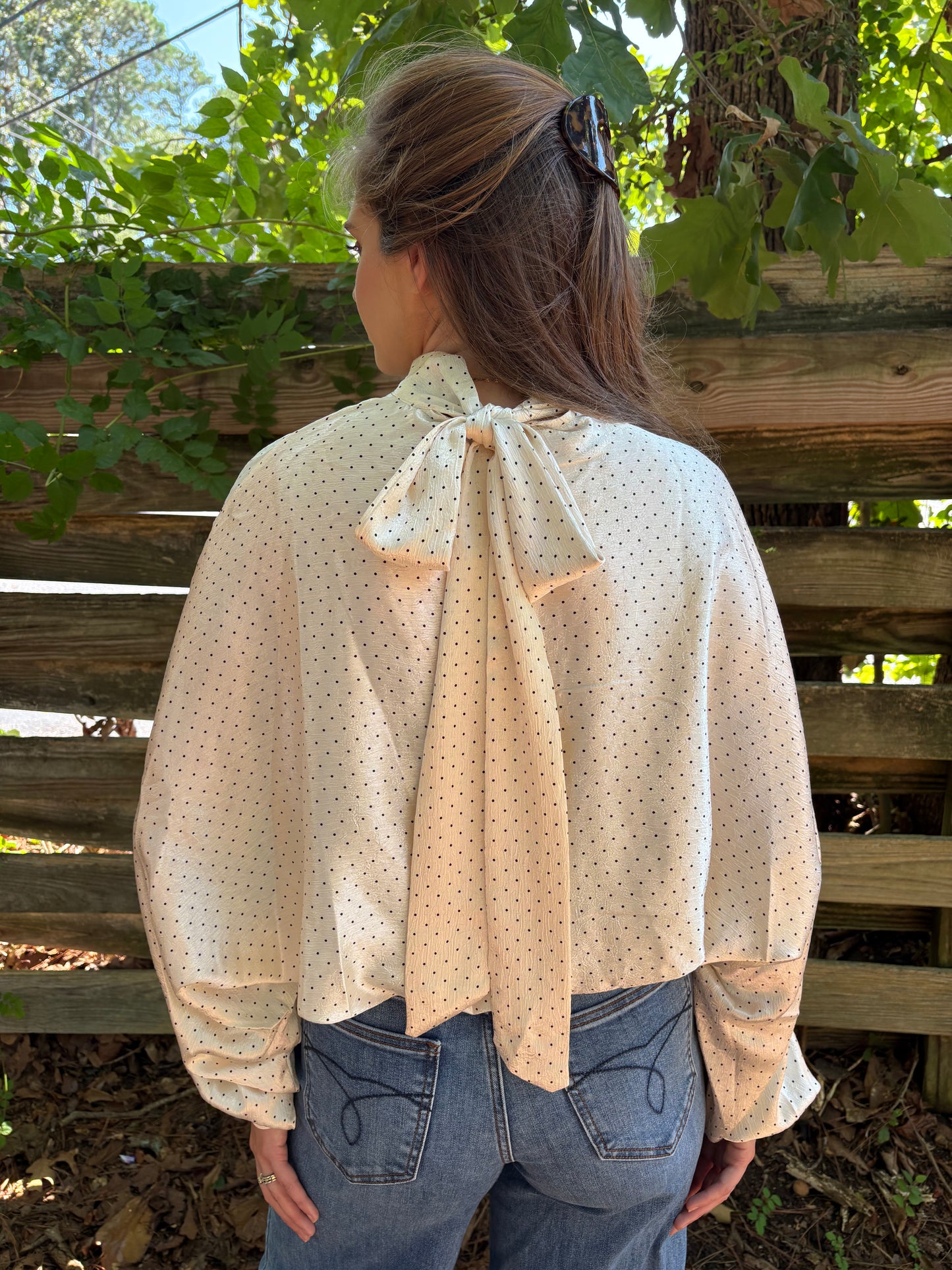 High Neck with Adjustable Tie Wide Sleeve Blouse