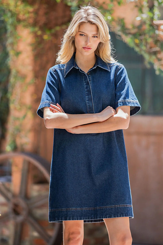 Collared Button Down Mini Dress