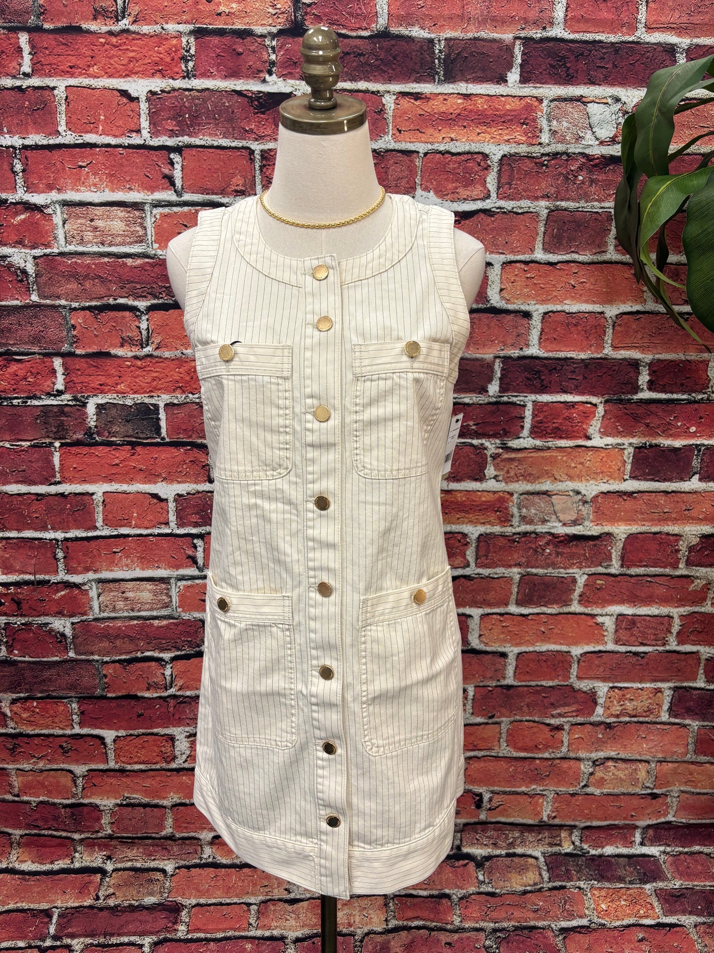 Pinstripe Button-Front Denim Dress