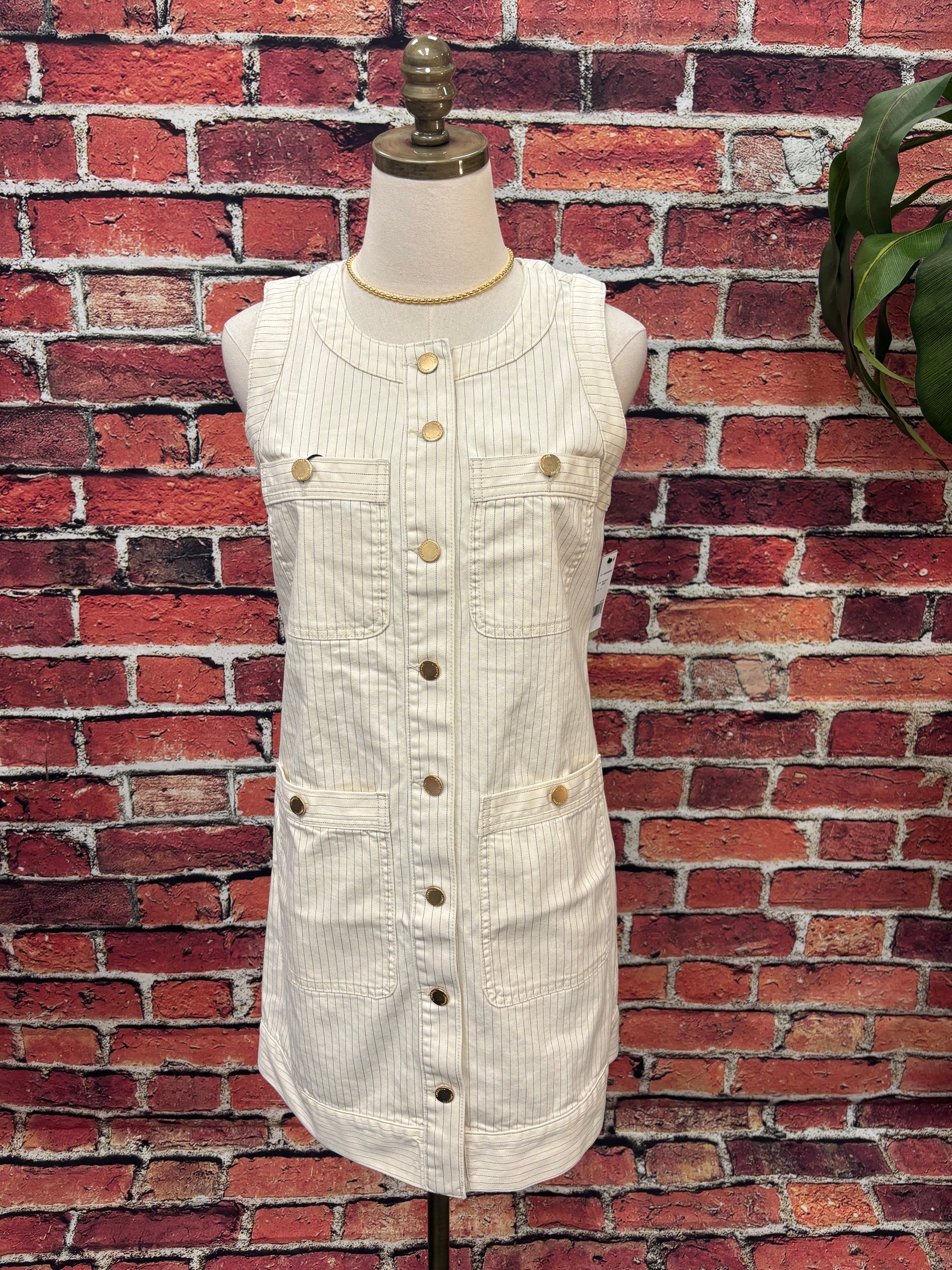 Pinstripe Button-Front Denim Dress