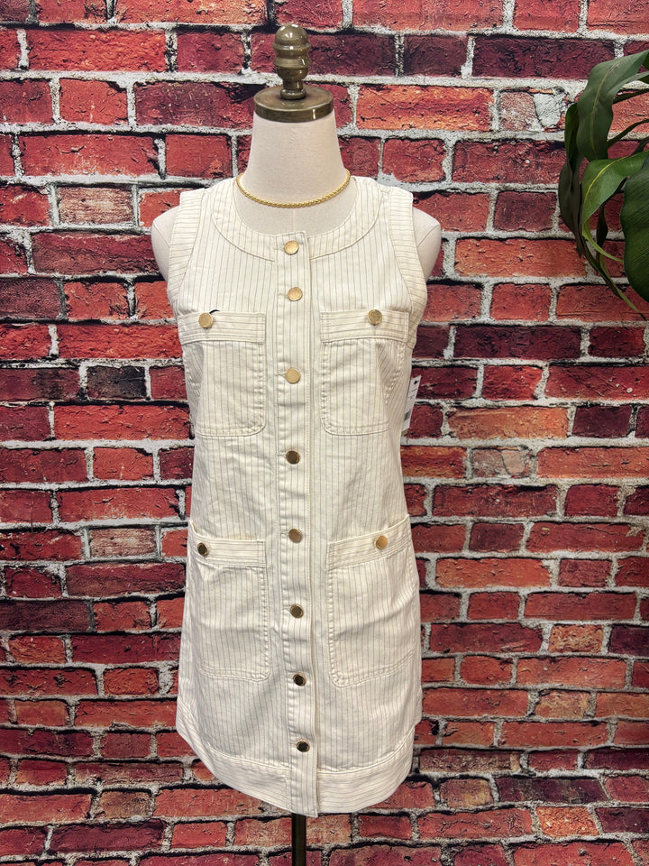 Pinstripe Button-Front Denim Dress