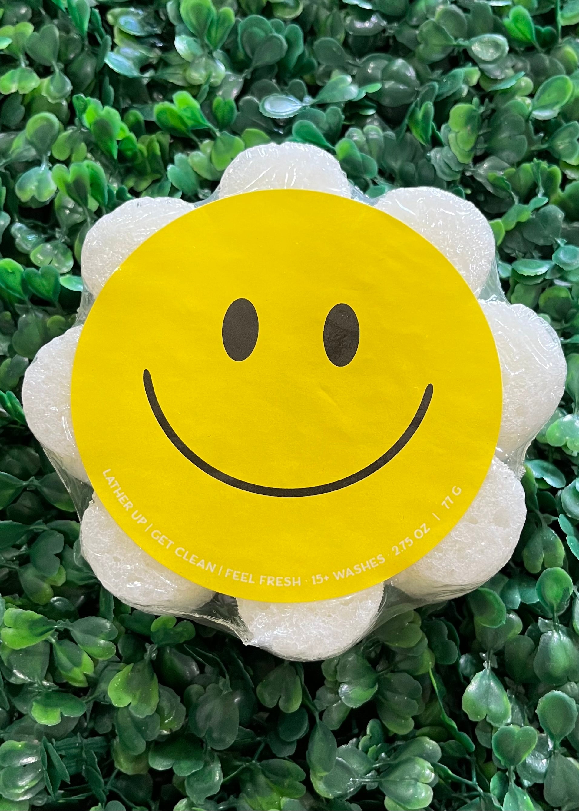Pretty Sponge Collection