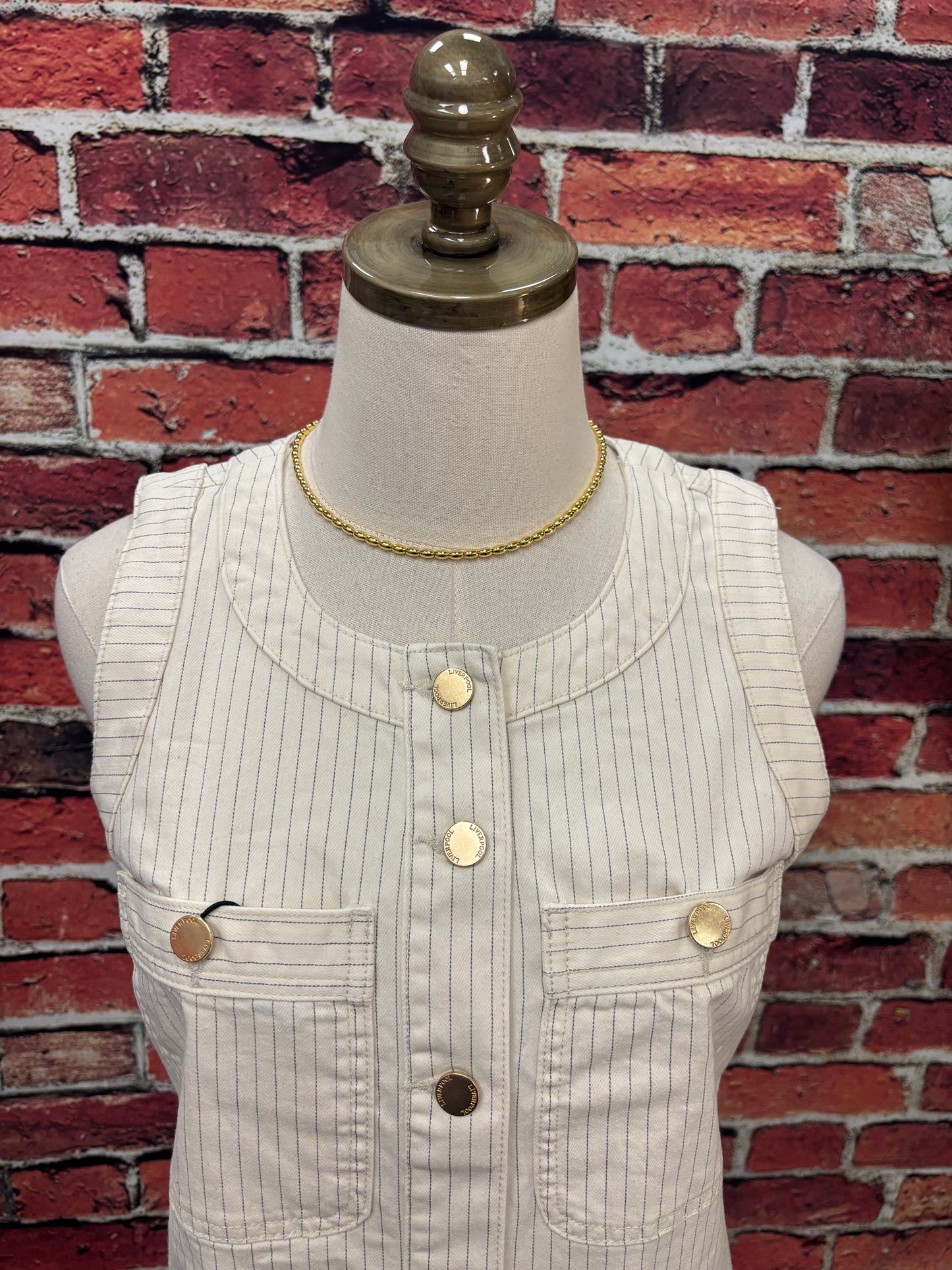 Pinstripe Button-Front Denim Dress