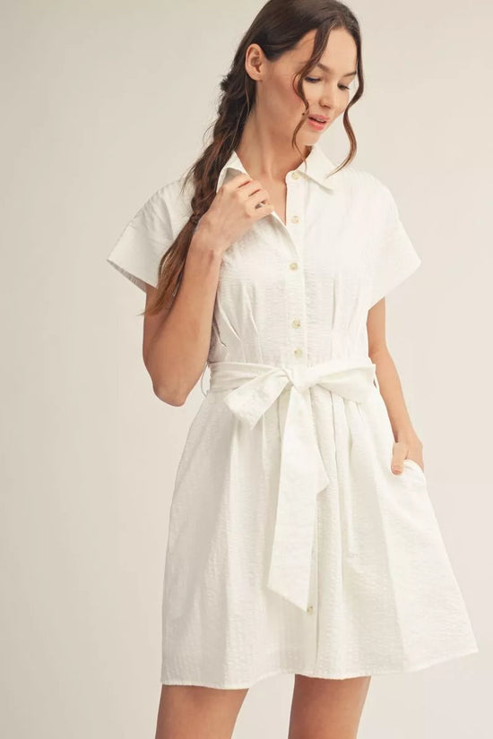 Winter White Dress
