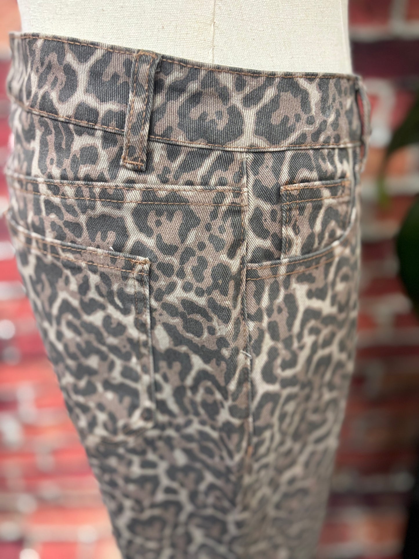 Wild Side Wide Leg Pants
