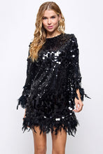 Load image into Gallery viewer, Sequin And Feather Detail Dress
