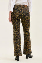 Load image into Gallery viewer, Judy Blue HW Bootcut Leopard Print
