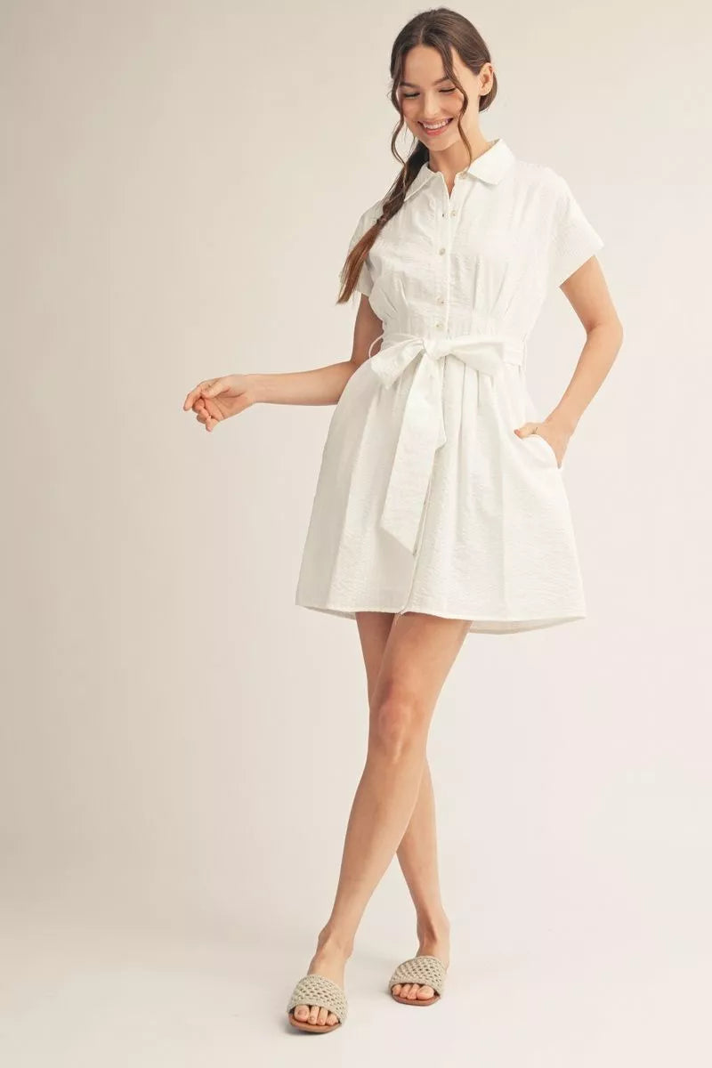Winter White Dress