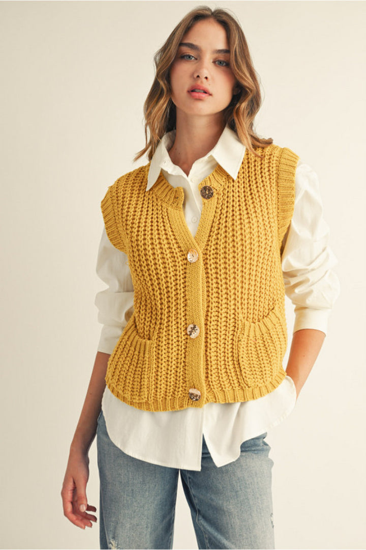 Stepping Into Fall Sweater Vest *FINAL SALE*