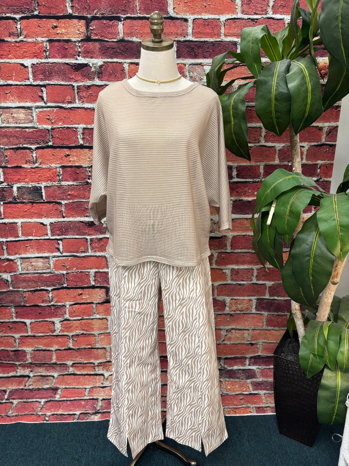 Savanna Breeze Zebra Pant