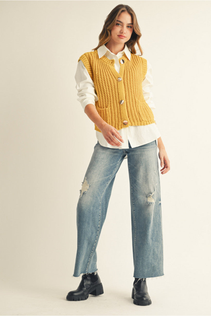Stepping Into Fall Sweater Vest *FINAL SALE*