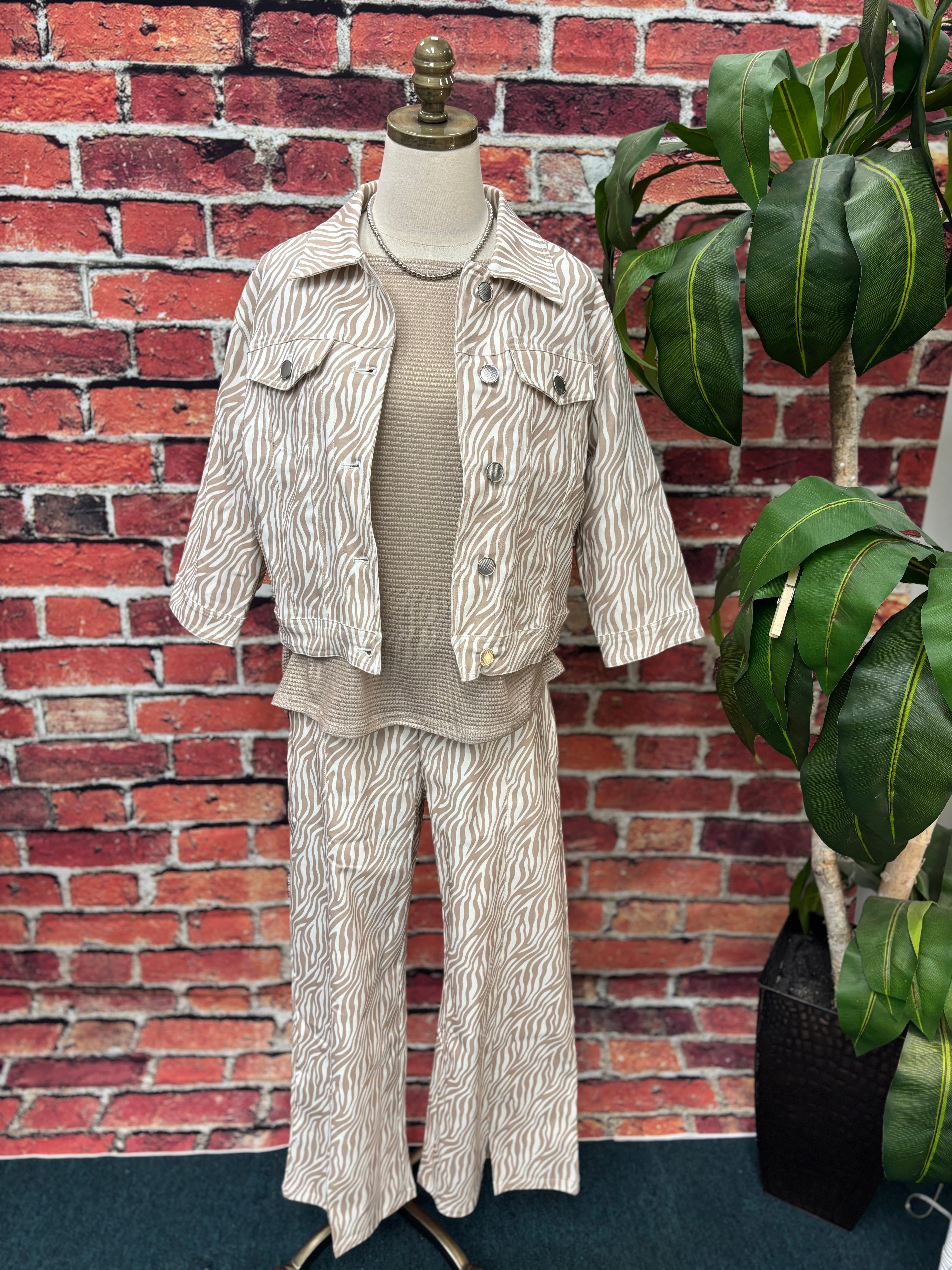 Savanna Breeze Zebra Jacket