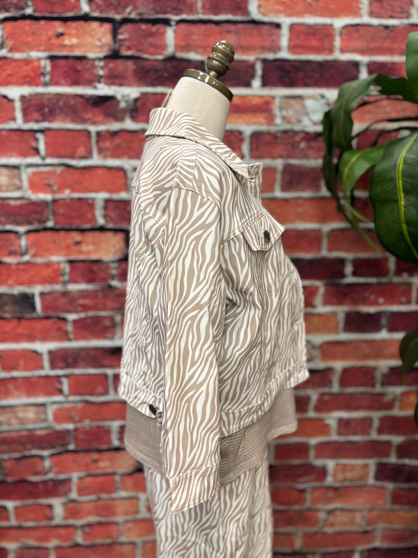 Savanna Breeze Zebra Jacket