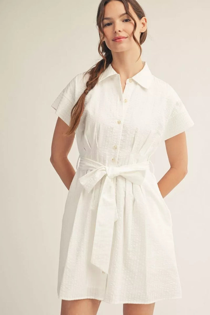 Winter White Dress
