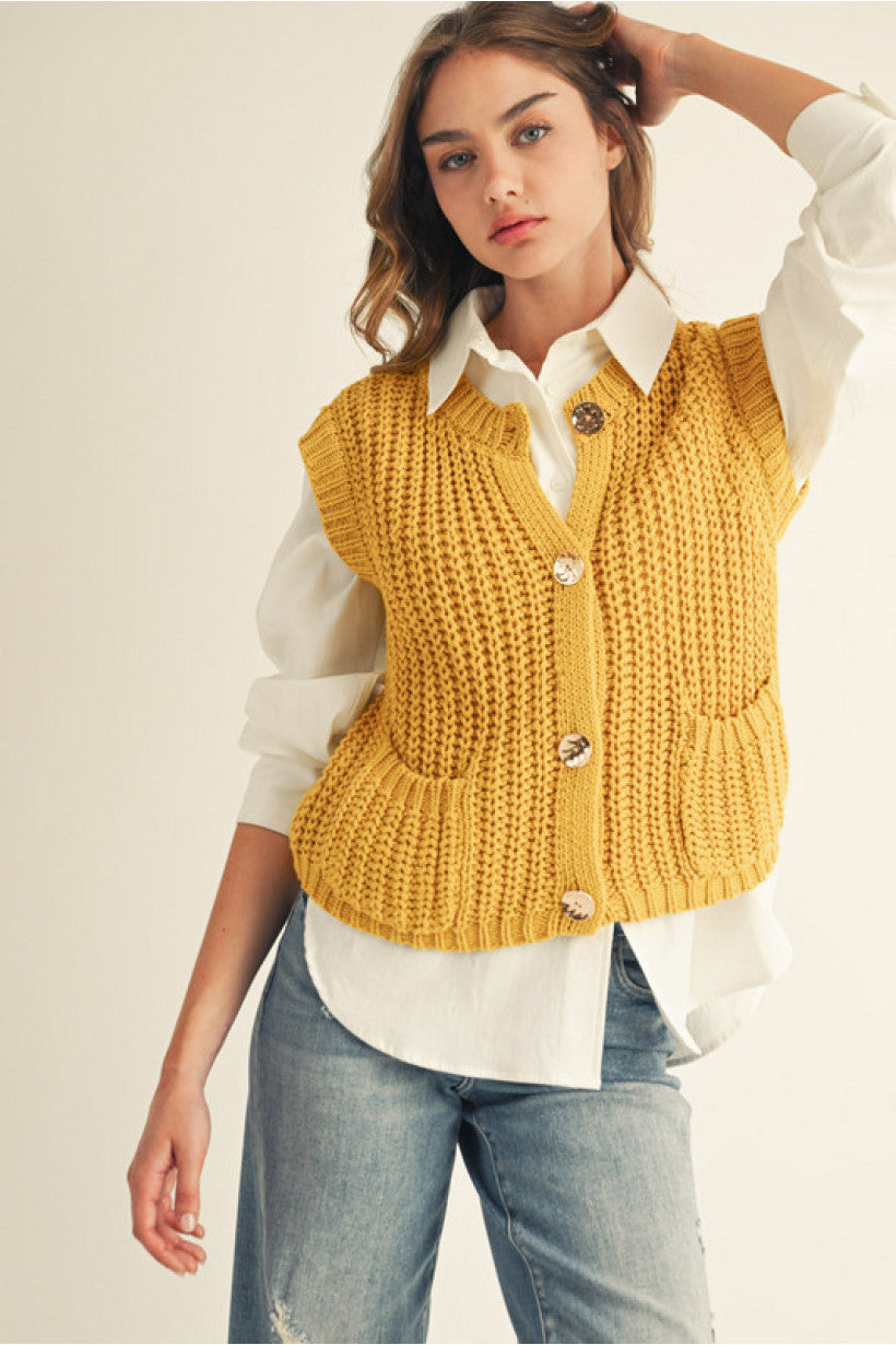 Stepping Into Fall Sweater Vest *FINAL SALE*