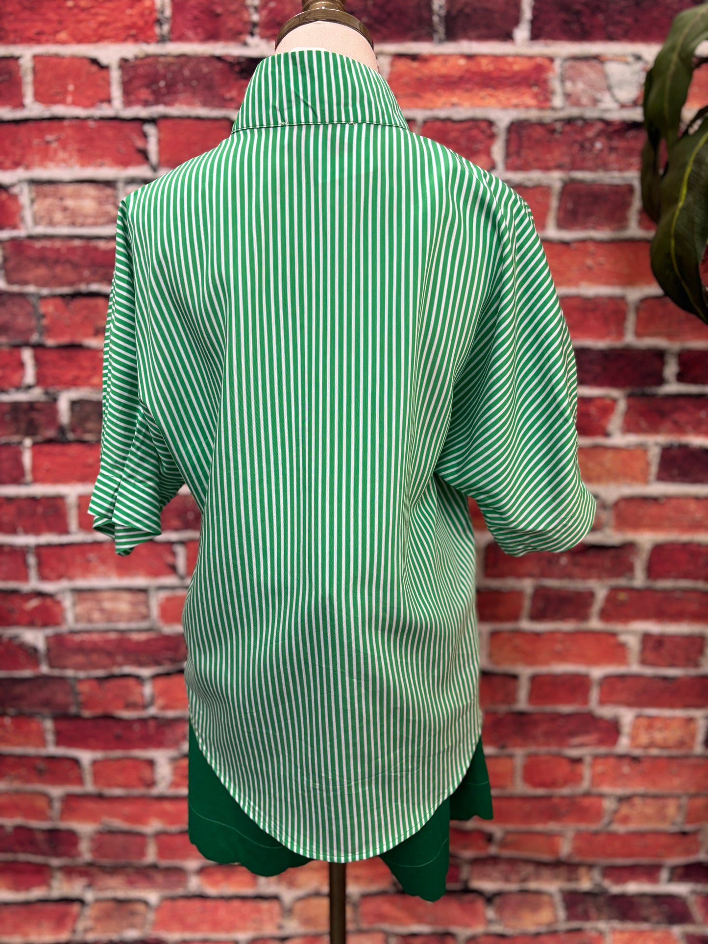 Green & White Striped Notch-Neck Blouse
