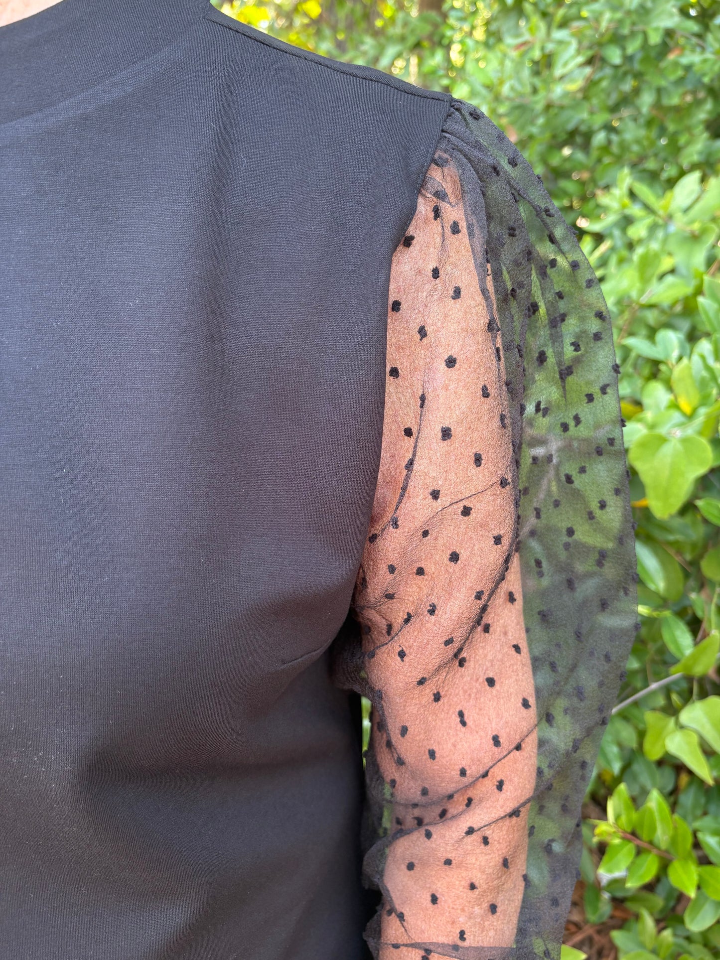 Lenaya Top