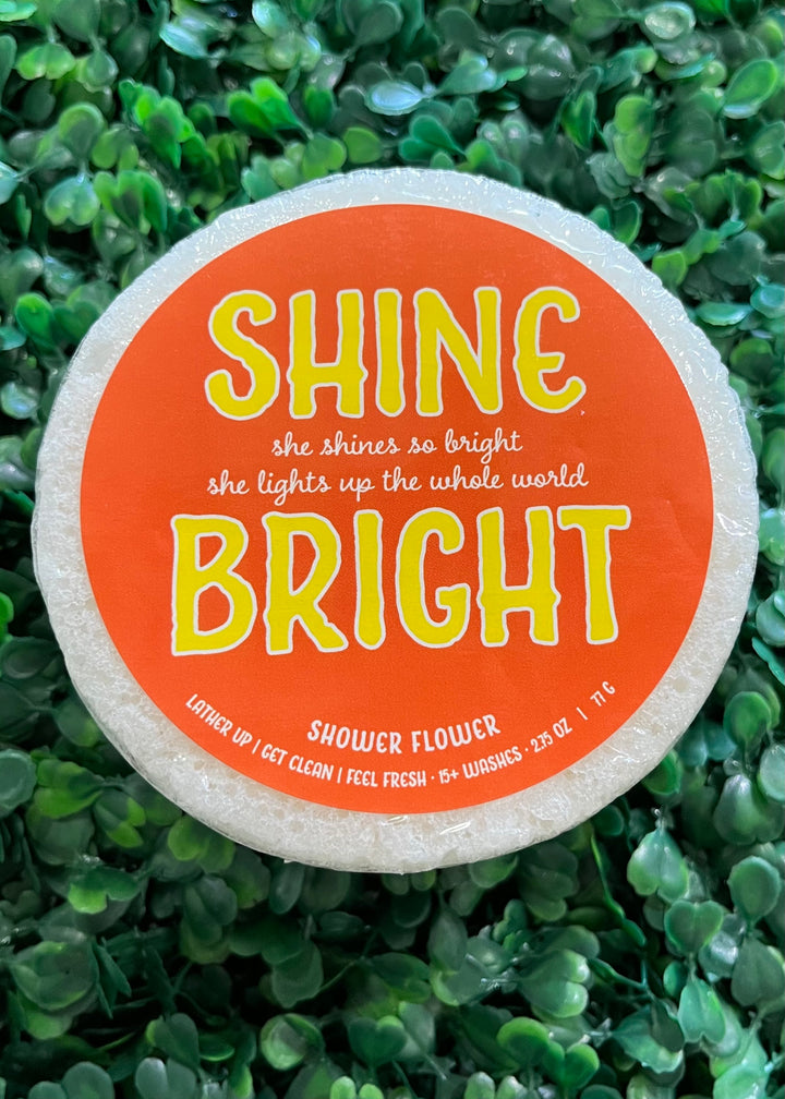 Bright Sponge Collection