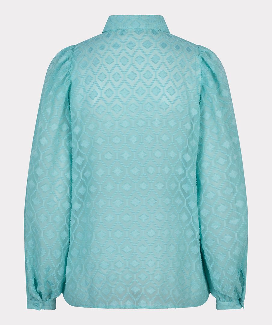 Fancy Plumetis Blouse  *FINAL SALE*