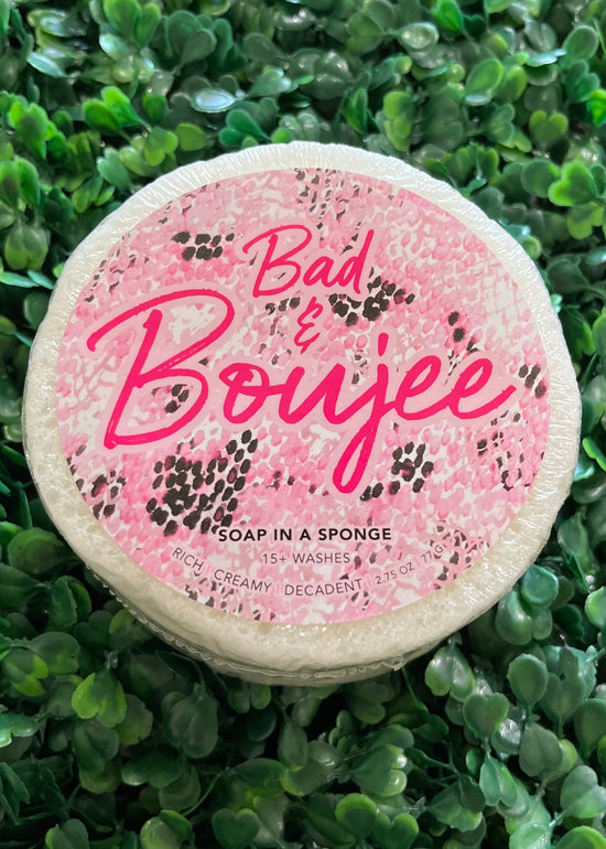 Bright Sponge Collection