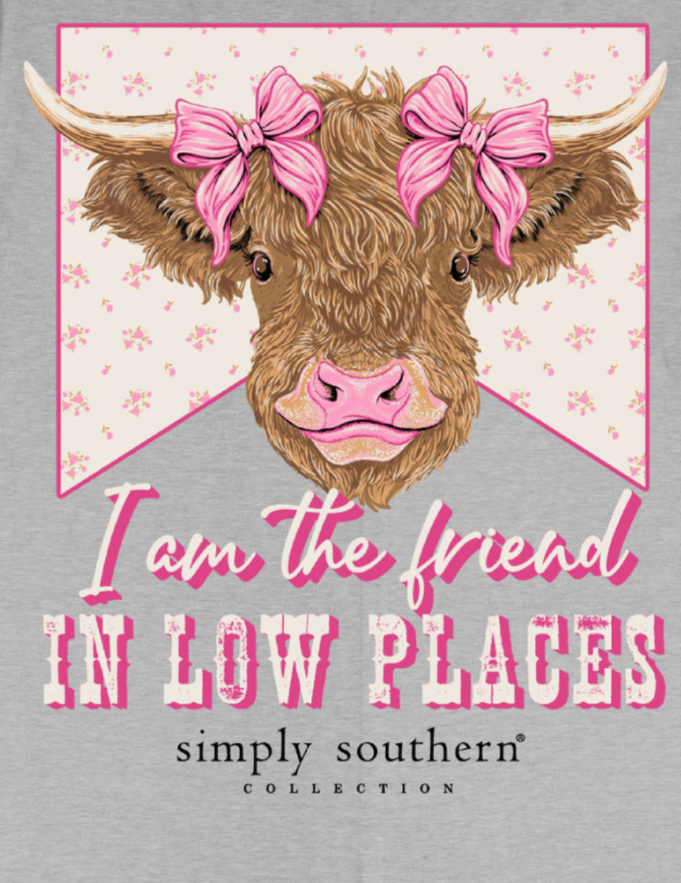 Friend In Low Places Tee