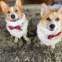 Load image into Gallery viewer, Dog Bow Ties *FINAL SALE*
