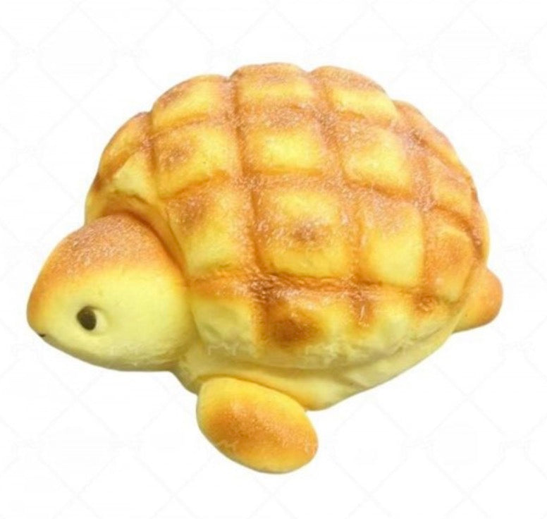 Pineapple Bread Turtle