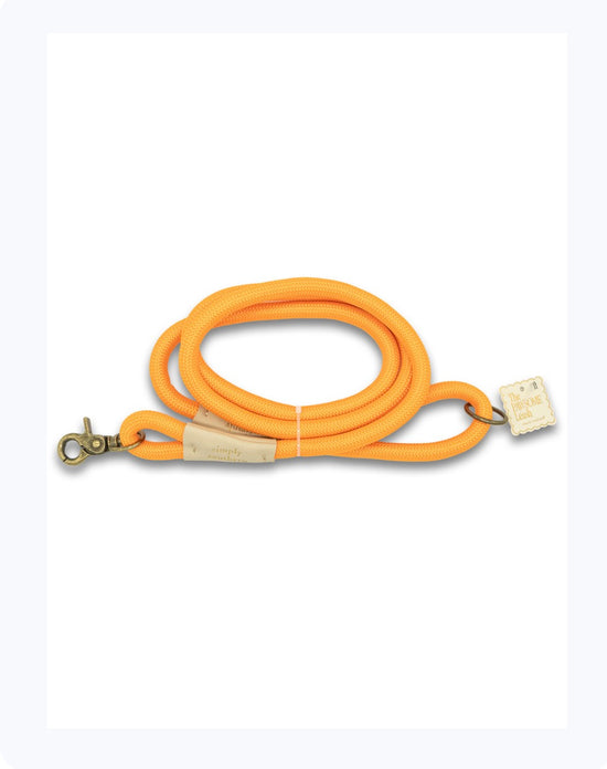 Pet Leash