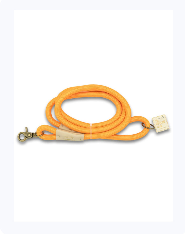 Pet Leash