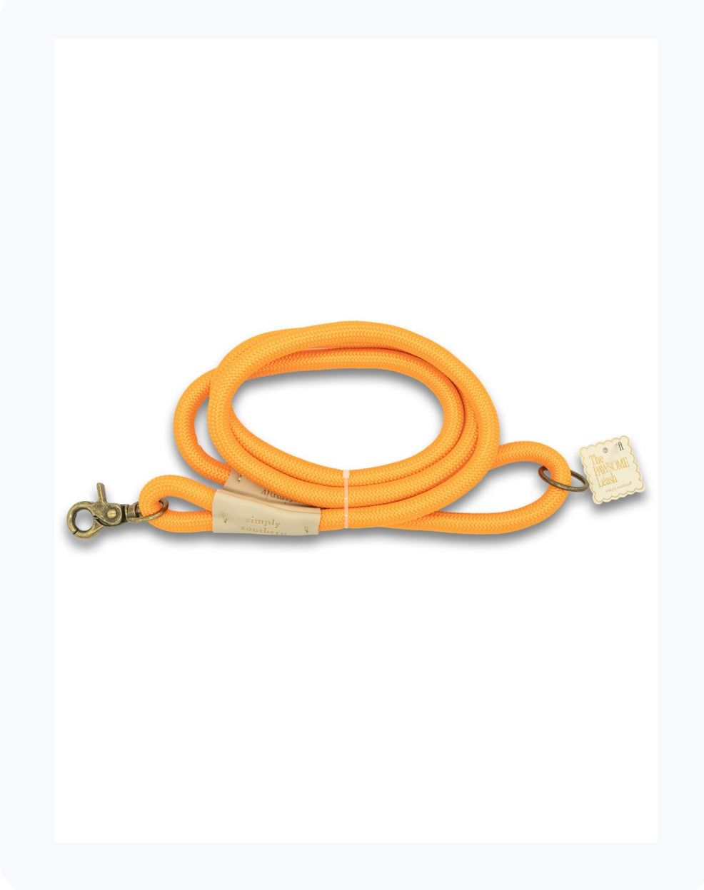 Pet Leash