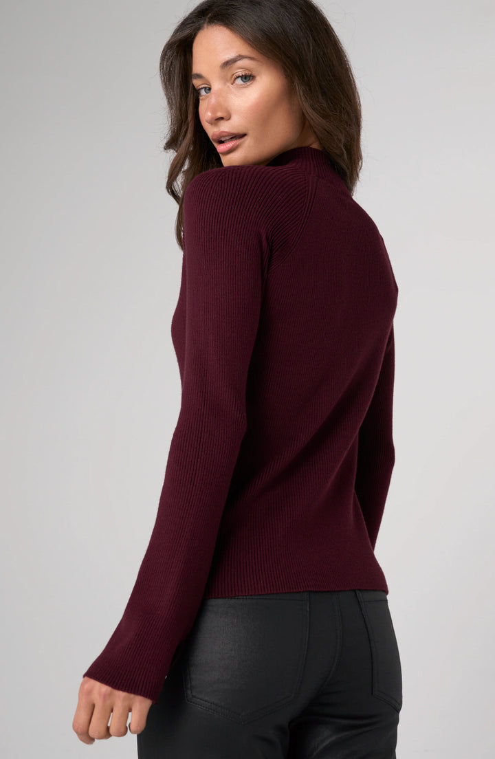 Taylor Long Sleeve Turtleneck Sweater