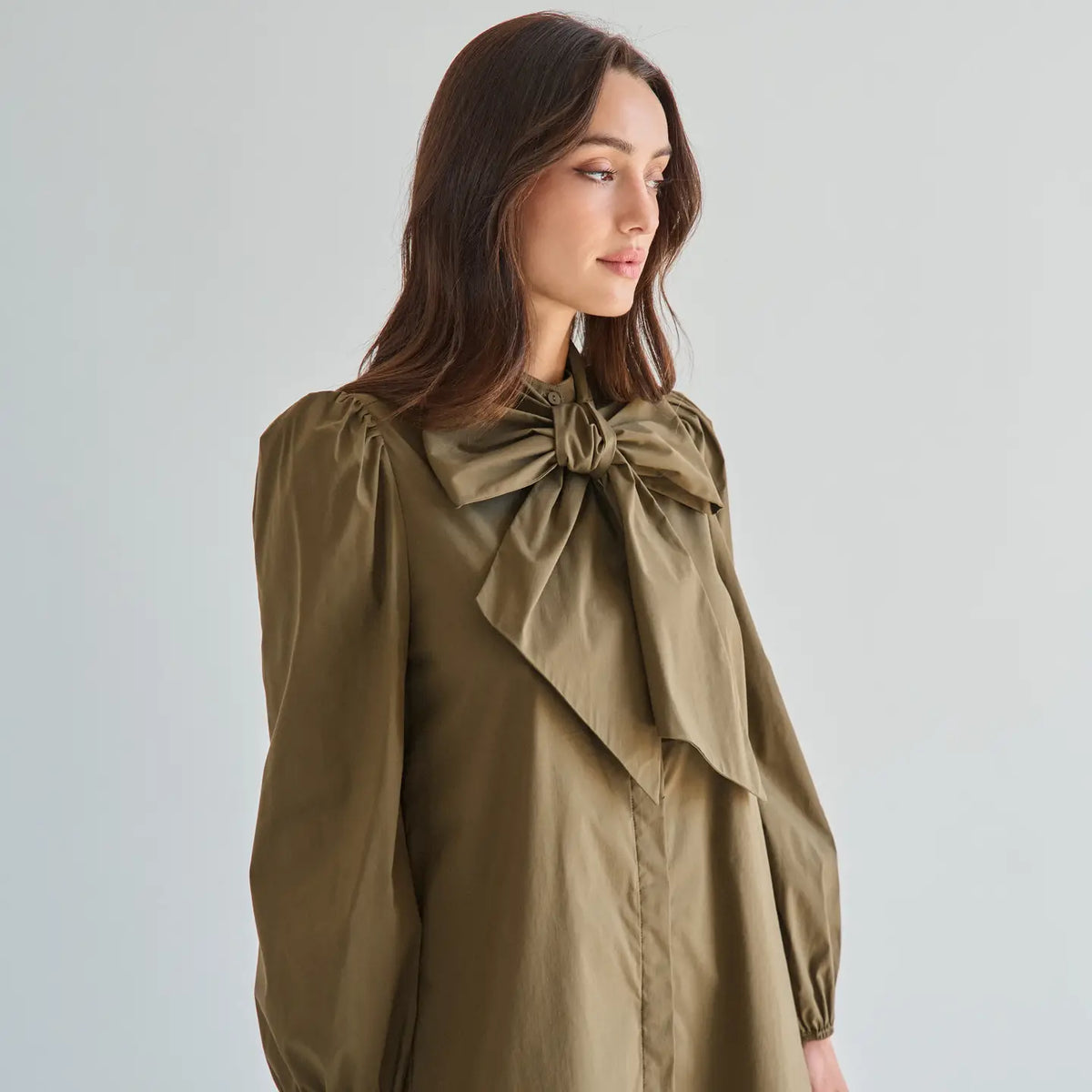 Bow Shirt Dress