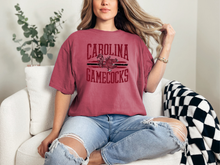 Load image into Gallery viewer, Vintage USC Gamecocks
