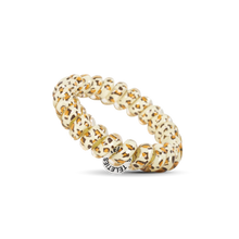 Load image into Gallery viewer, Spiral Hair Coils | Large | Leopard Hair Ties
