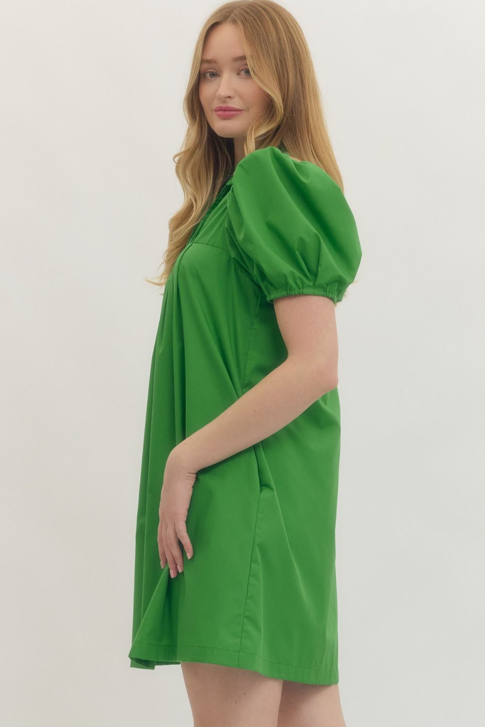Pose For The Camera Dress