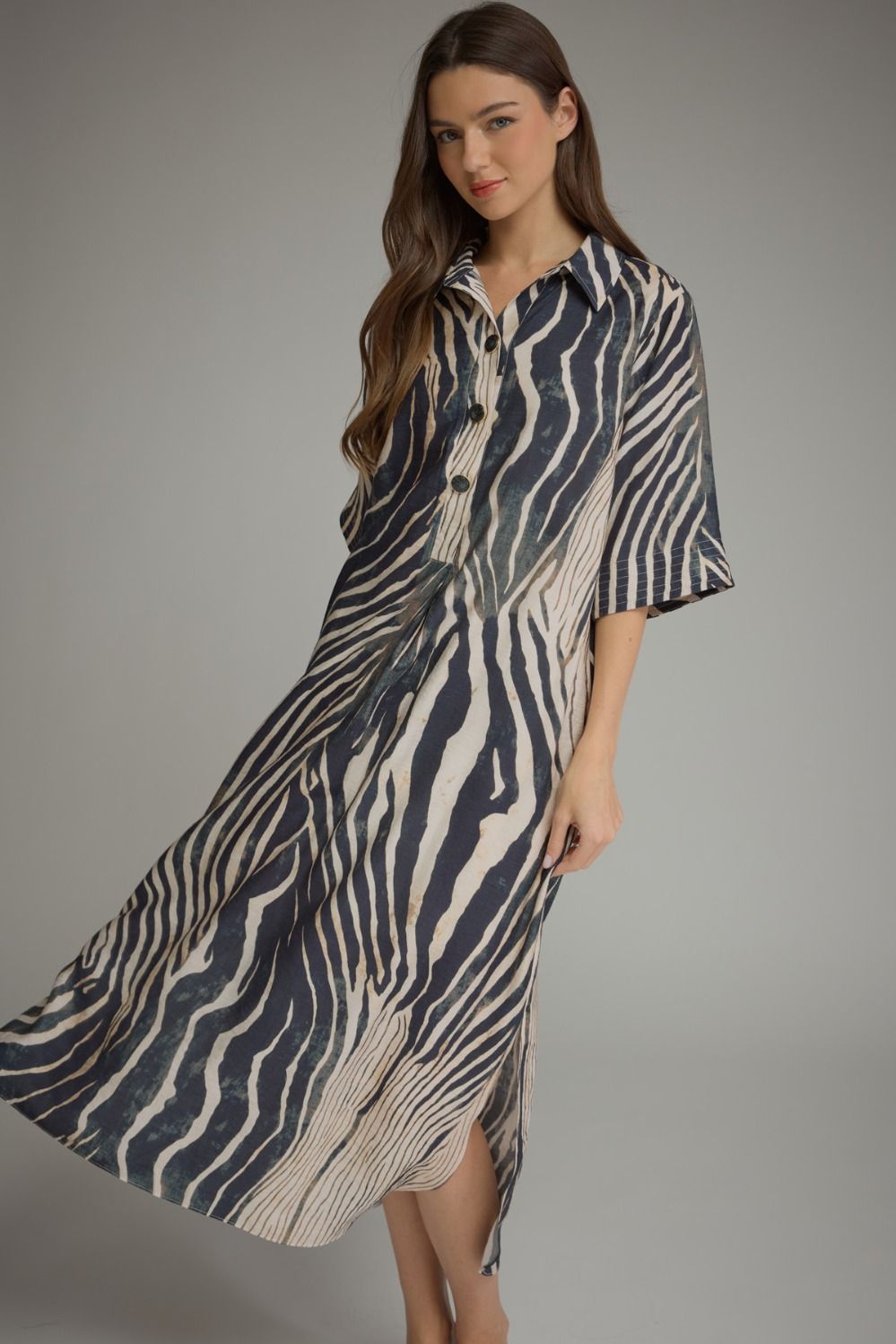 Navy Zebra Maxi Dress