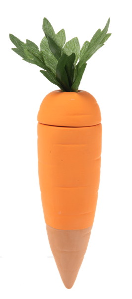 Carrot Water Spike