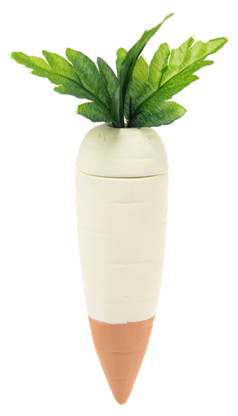Carrot Water Spike