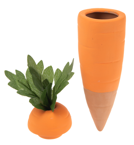 Carrot Water Spike